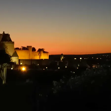 Botel Peniche Mirage-chambre D'hotes Carcassonne